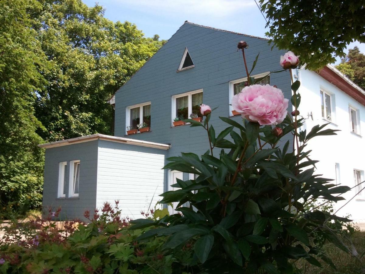 Gasthof Blaues Haus Hotell Bastorf Eksteriør bilde